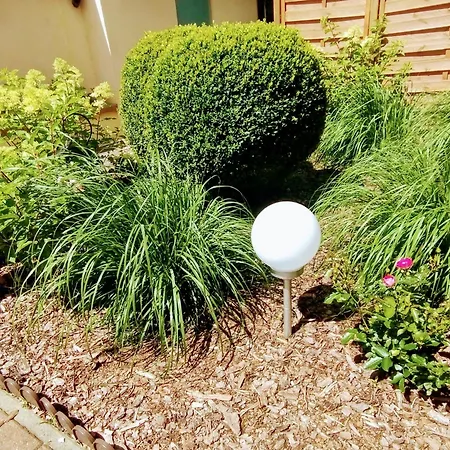 Goscinne Roza Wiatrow Ούστκα