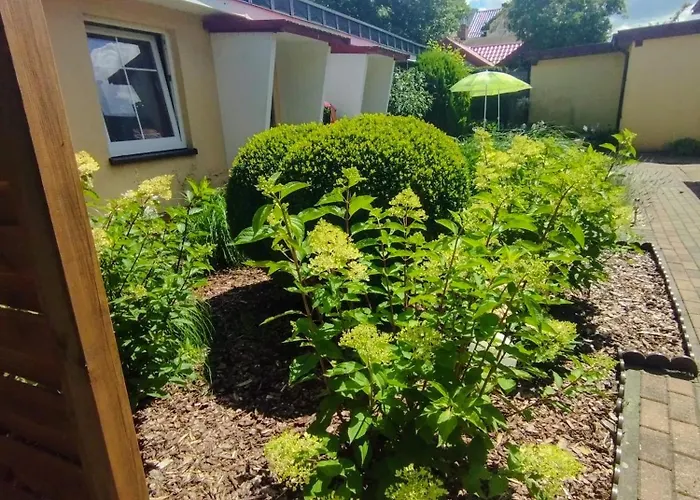 Gościnne Róża Wiatrów Pensjonat