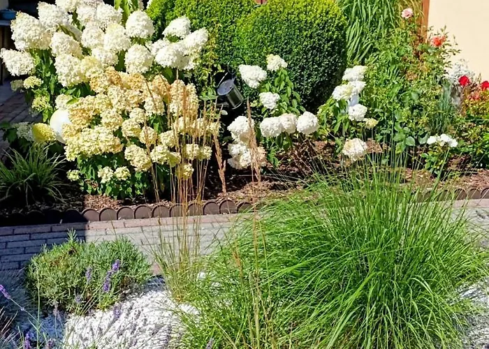 Gościnne Róża Wiatrów